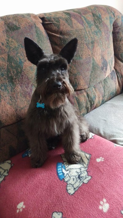 Arthur 400 x 711