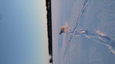 Bella 400 x 225