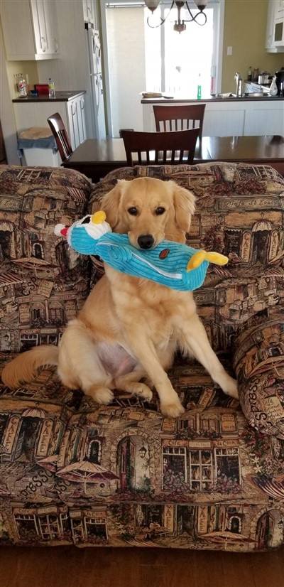 Betty 400 x 826