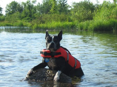 Dixie 400 x 300