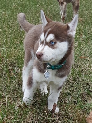Freya 300 x 400