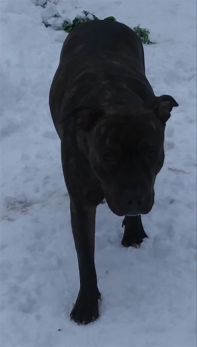 Heidi 400 x 705