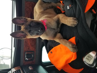 Izzy 400 x 300