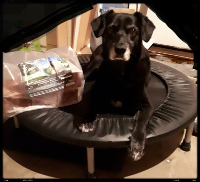 Keyla 400 x 365