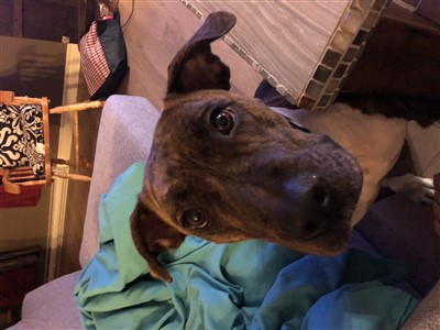 Kyra 400 x 300