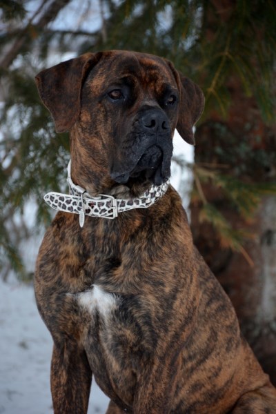 Kyra 400 x 600