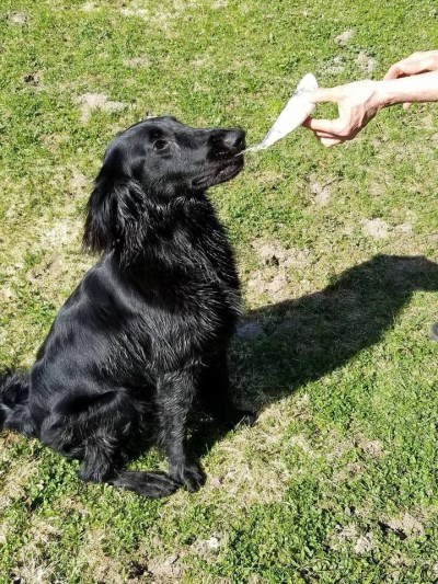 Lyla 400 x 533