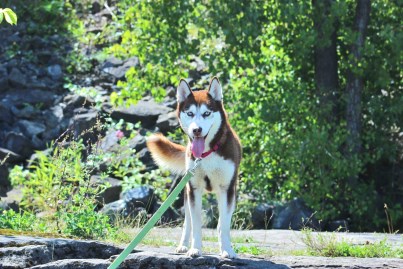 Maisy 403 x 269
