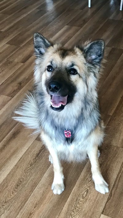 Maylie 400 x 711
