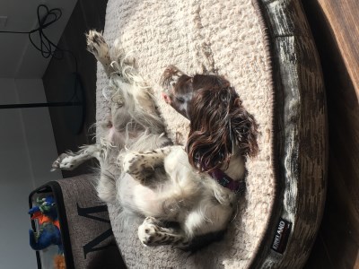 Mia 400 x 300