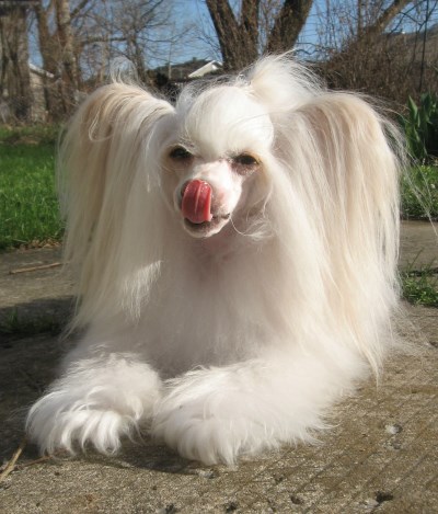 Minnie 400 x 469