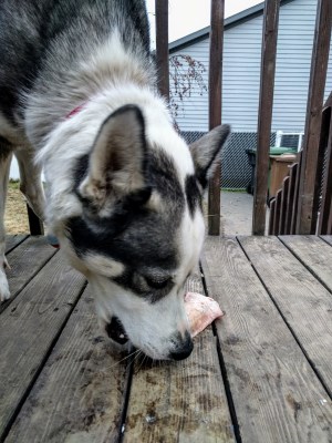 Nala 300 x 400