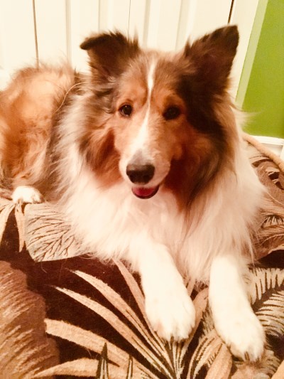 Nikki 400 x 533