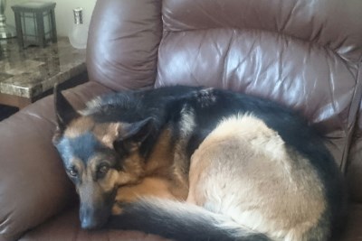 Roxy 400 x 267