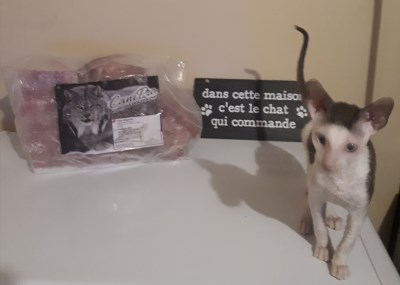 Zoé 400 x 285