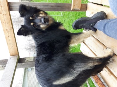 belle 400 x 300